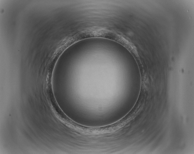 X0000087590018200704271318