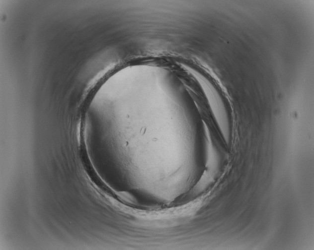 X0000087590019200704271318