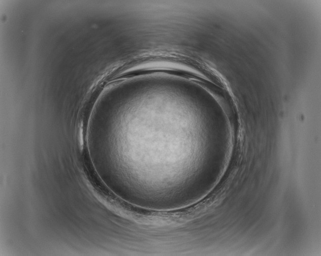 X0000087590020200704271318