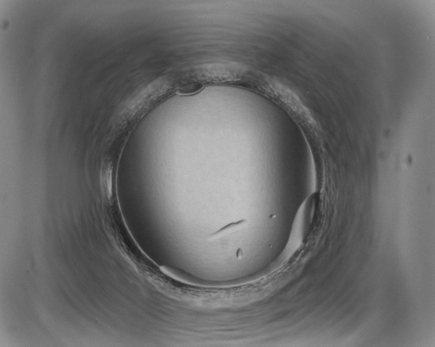 X0000087590021200704271318