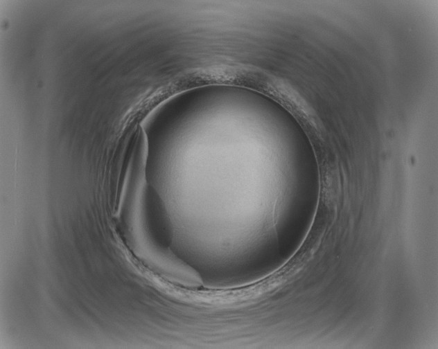 X0000087590023200704271318