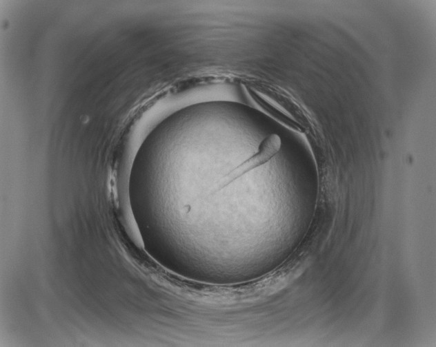 X0000087590024200704271318