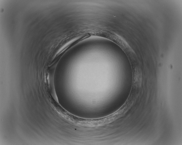 X0000087590025200704271318