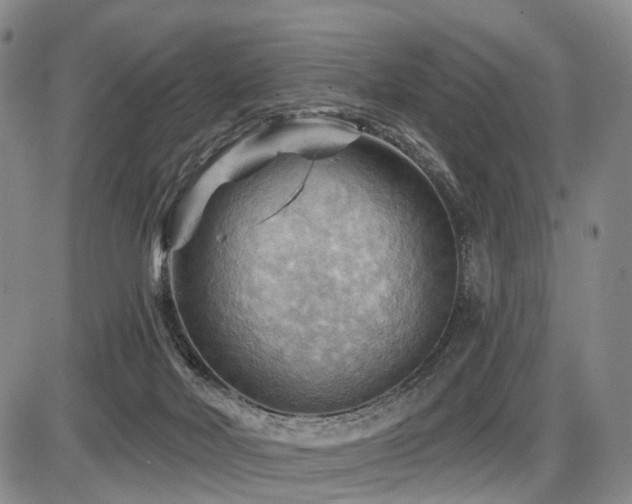 X0000087590026200704271318