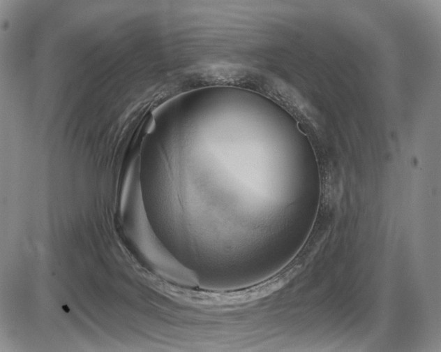 X0000087590027200704271318