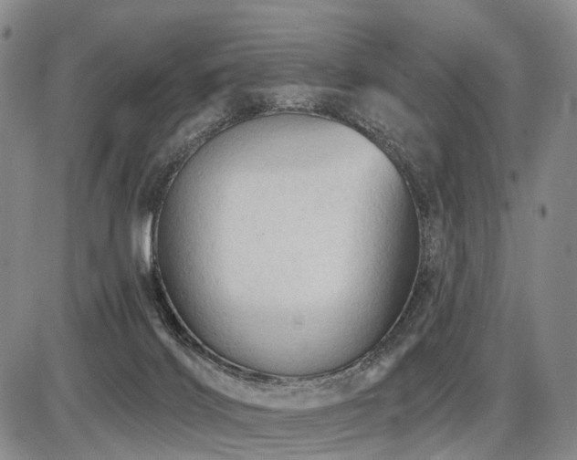 X0000087590028200704271318