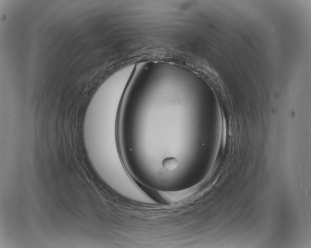 X0000087590029200704271318