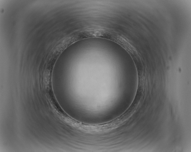 X0000087590030200704271318