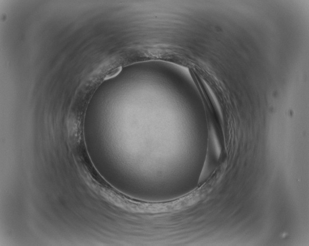 X0000087590031200704271318