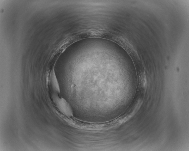 X0000087590032200704271318