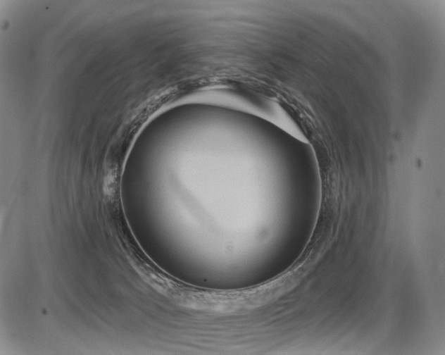 X0000087590033200704271318