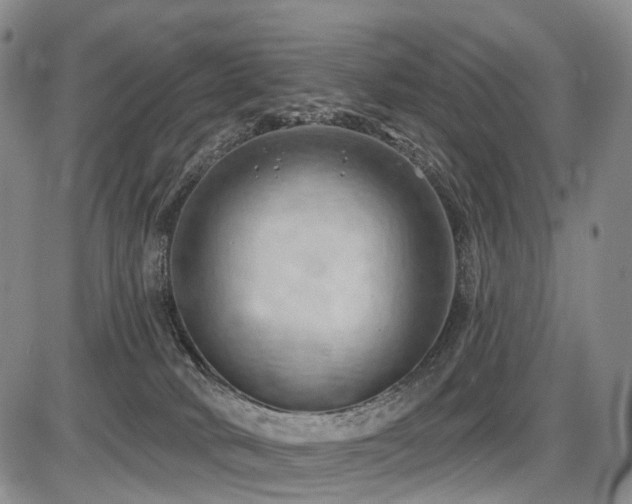 X0000087590034200704271318