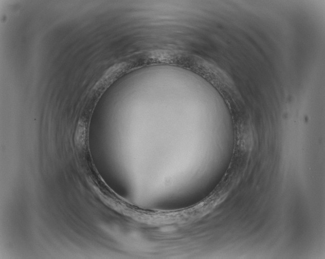 X0000087590036200704271318