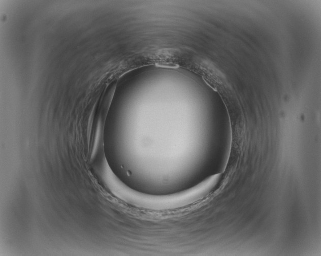 X0000087590037200704271318