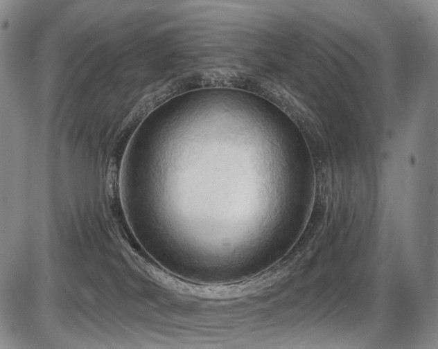 X0000087590038200704271318