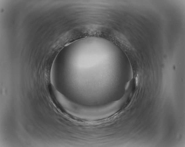 X0000087590039200704271318