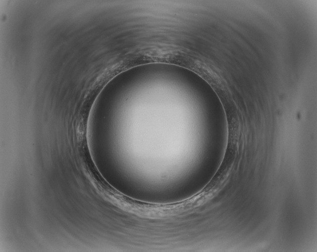 X0000087590040200704271318