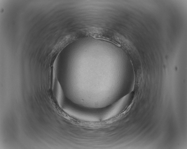 X0000087590041200704271318