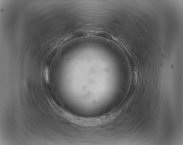 X0000087590042200704271318