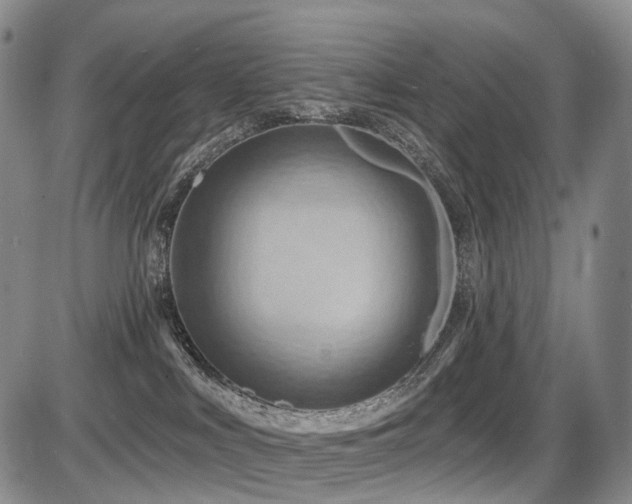 X0000087590043200704271318