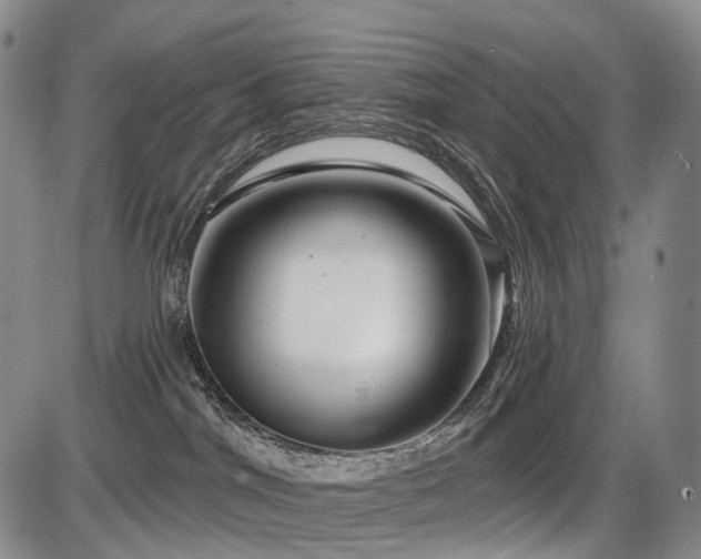 X0000087590044200704271318