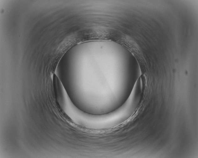 X0000087590045200704271318