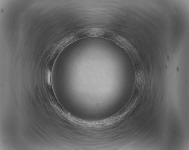 X0000087590046200704271318