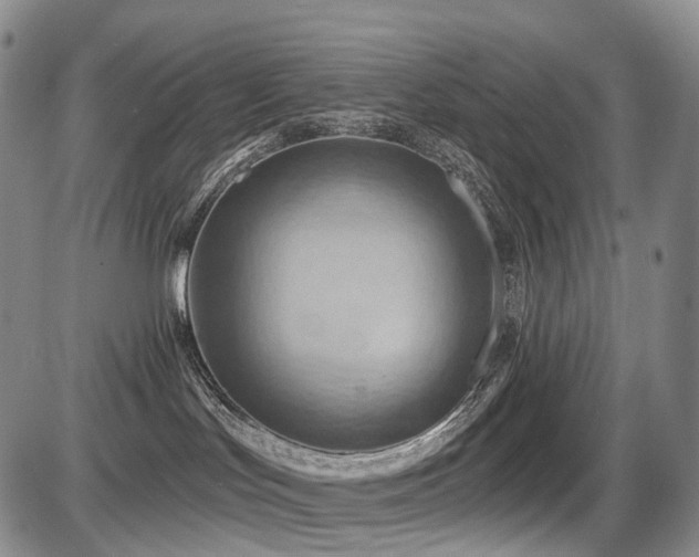 X0000087590047200704271318