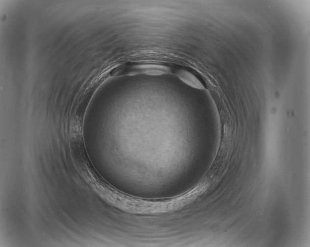 X0000087590048200704271318