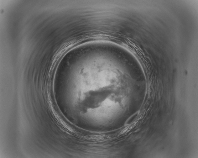 X0000087590049200704271317