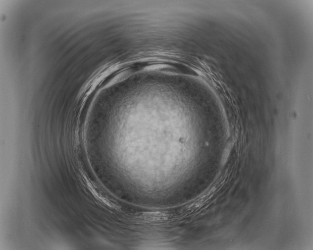 X0000087590050200704271317