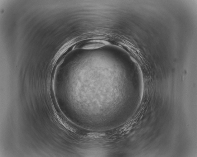 X0000087590051200704271317