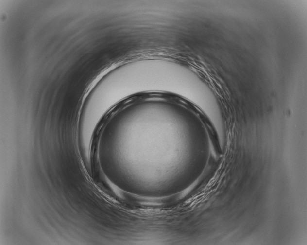 X0000087590052200704271317