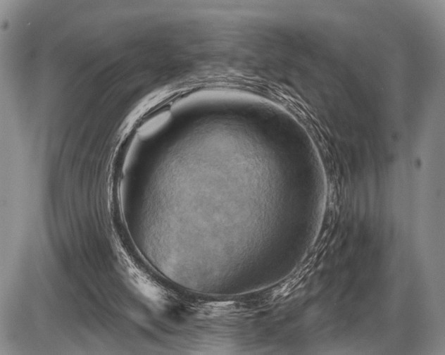 X0000087590054200704271317