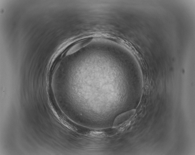 X0000087590055200704271317