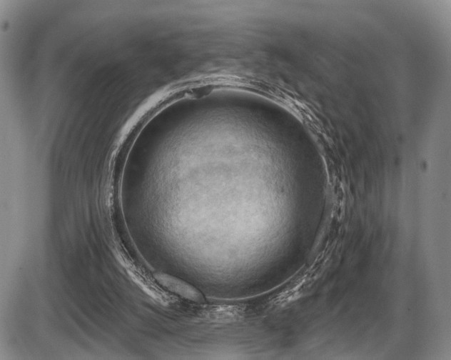 X0000087590056200704271317