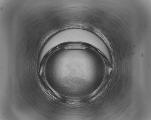 X0000087590058200704271317