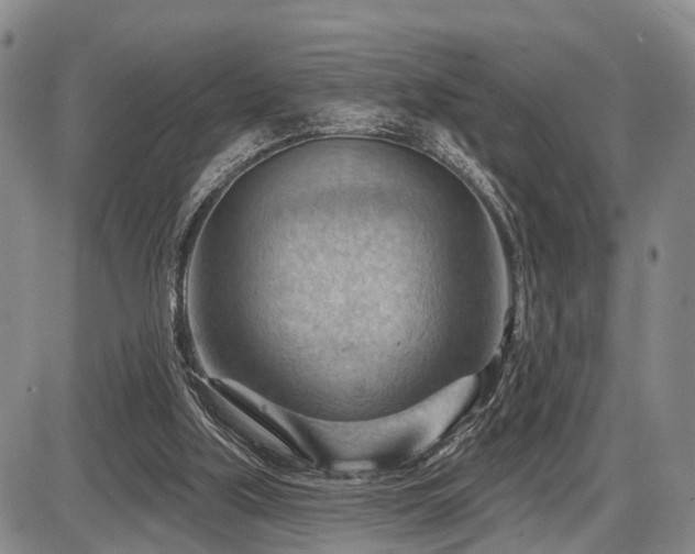 X0000087590059200704271317