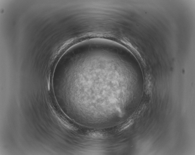 X0000087590062200704271317