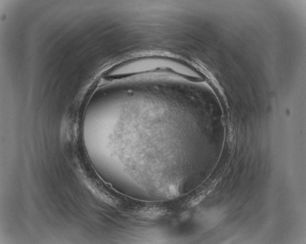 X0000087590063200704271317