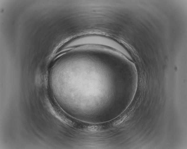 X0000087590064200704271317