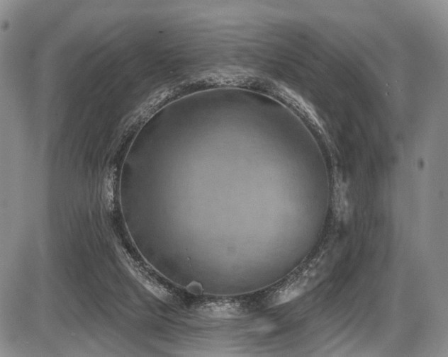 X0000087590065200704271317