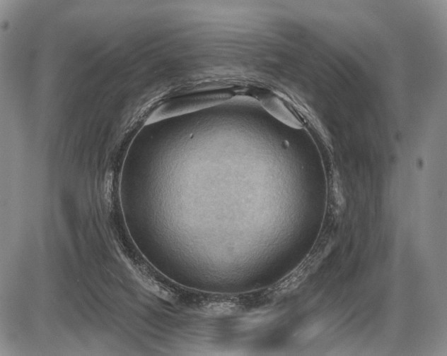 X0000087590066200704271318