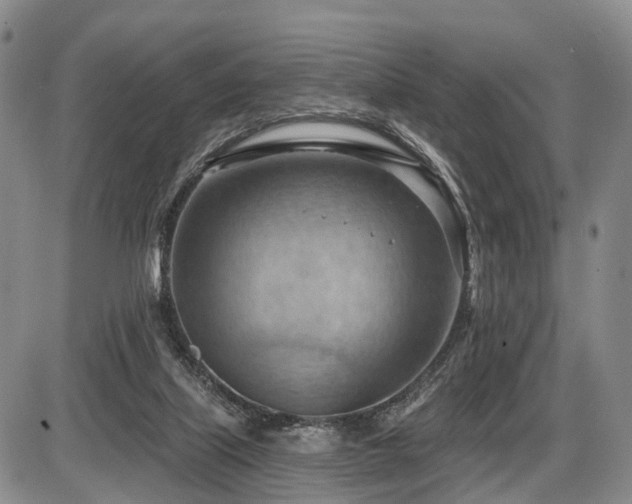 X0000087590067200704271318