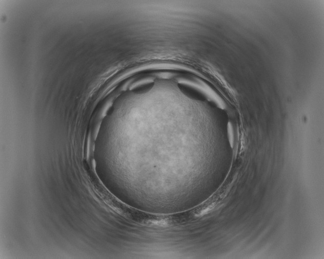 X0000087590068200704271318