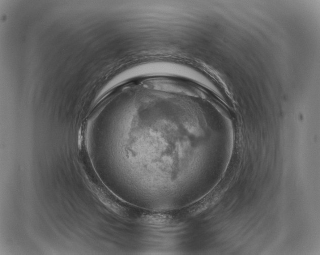 X0000087590069200704271318