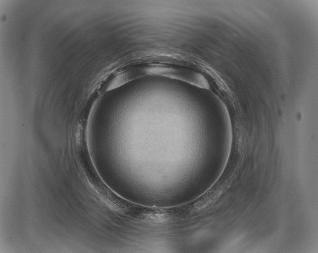 X0000087590071200704271318