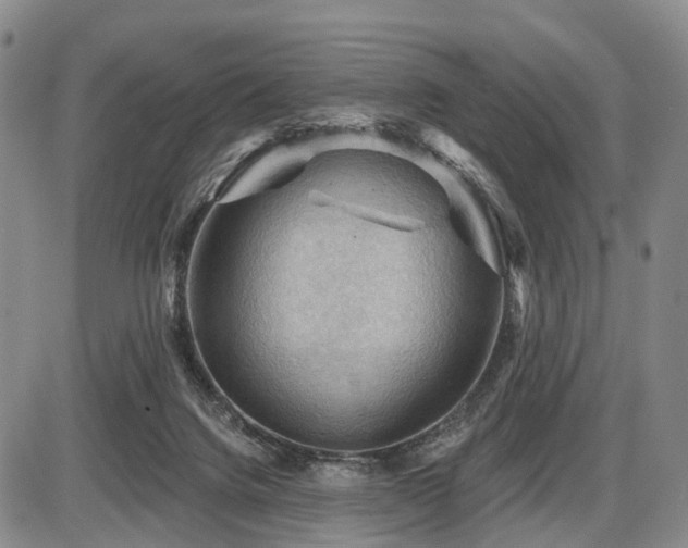 X0000087590072200704271318