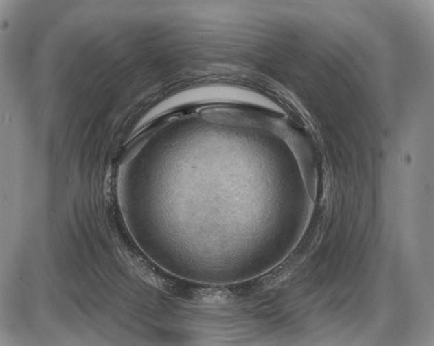 X0000087590073200704271318