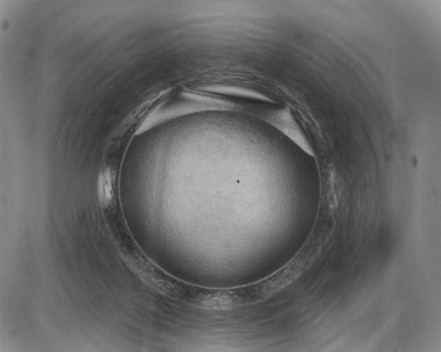 X0000087590075200704271318